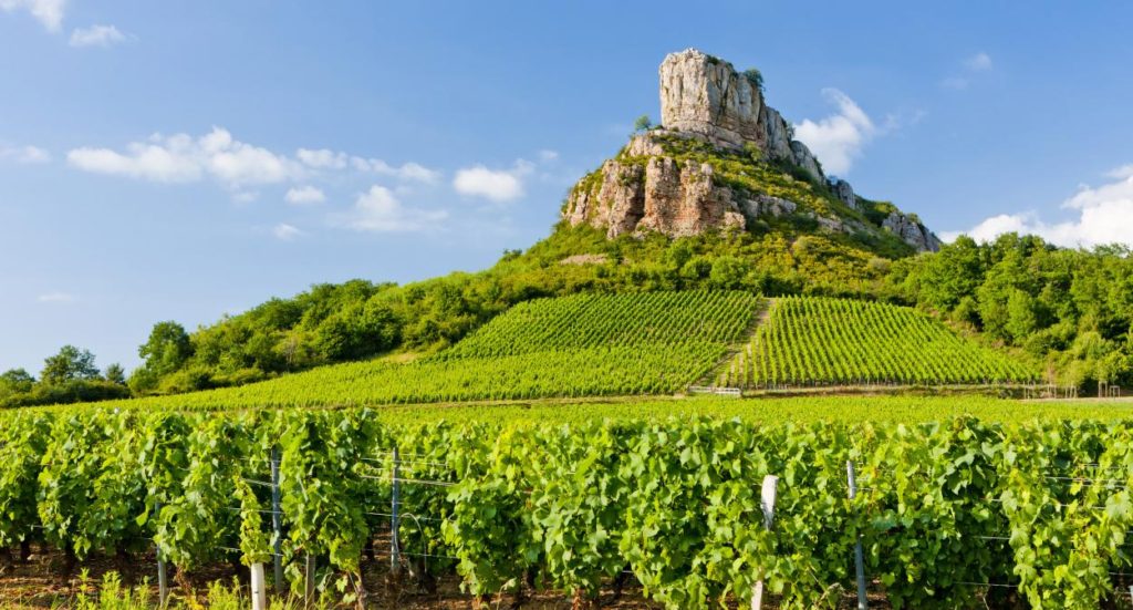 Bourgogne (Burgundy) Wine Region France