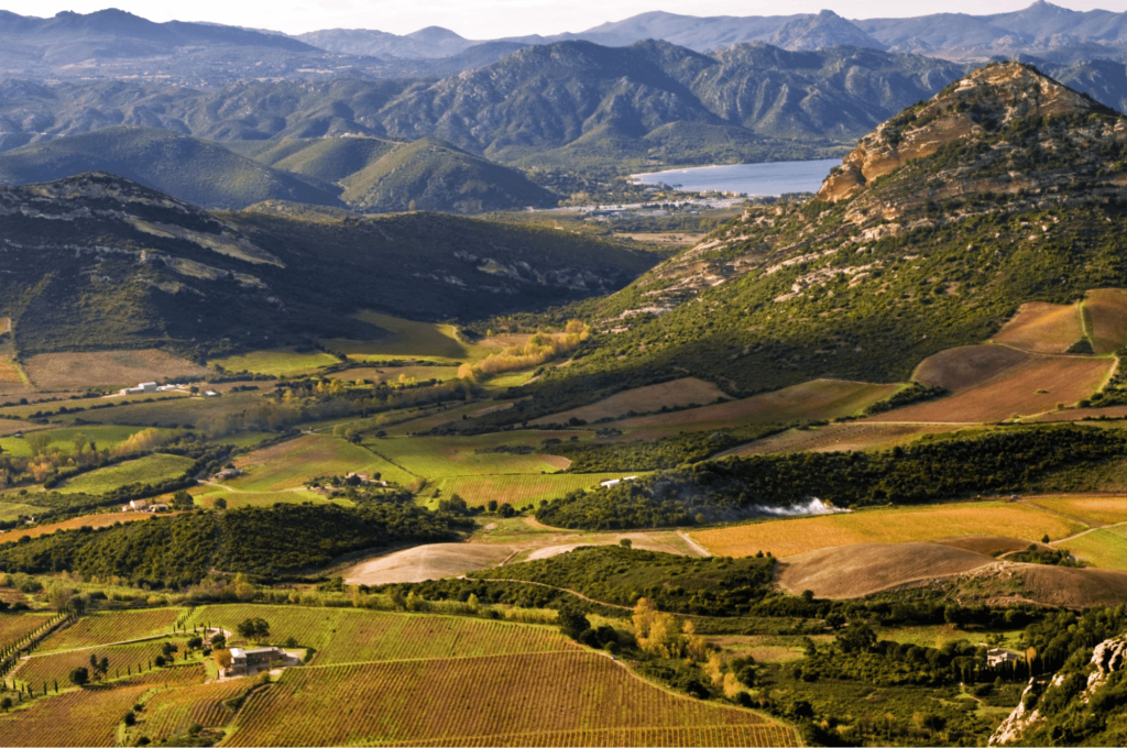 French Wine Regions - Corse (Corsica)