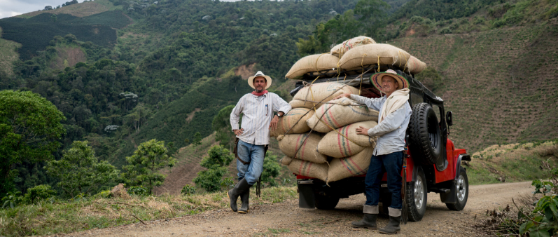 where is coffee grown in Latin America Coffee Terroir
