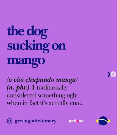 greengodictionary Brazilian slang instagram the dog sucking on mango