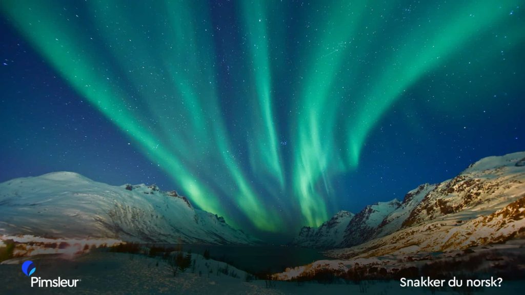 Zoom Background Northern Lights Norway