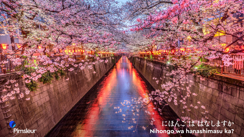 Spring Cherry Blossom Festival Zoom Background Japan Free