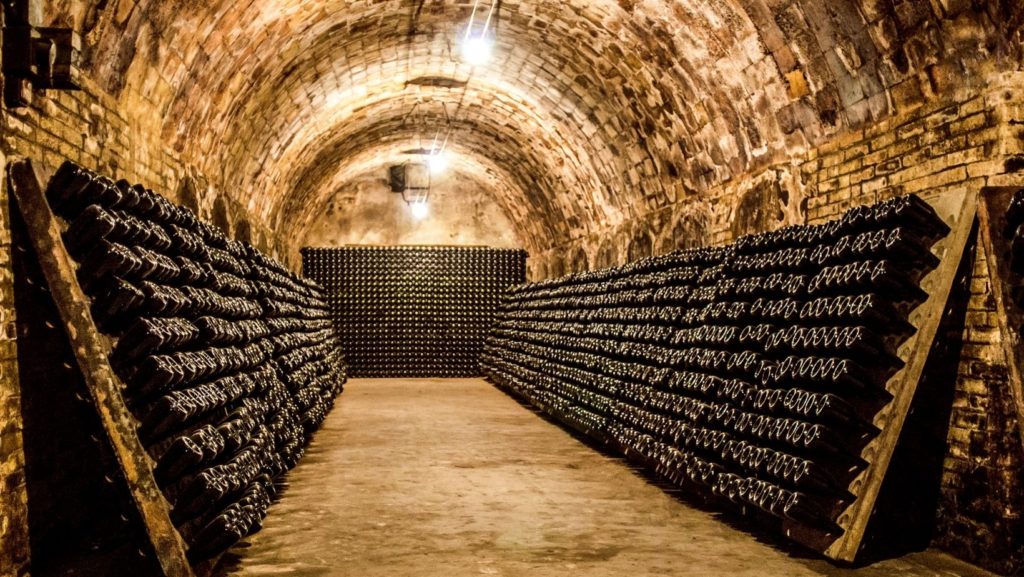 Wine cellar caves Wine tasting