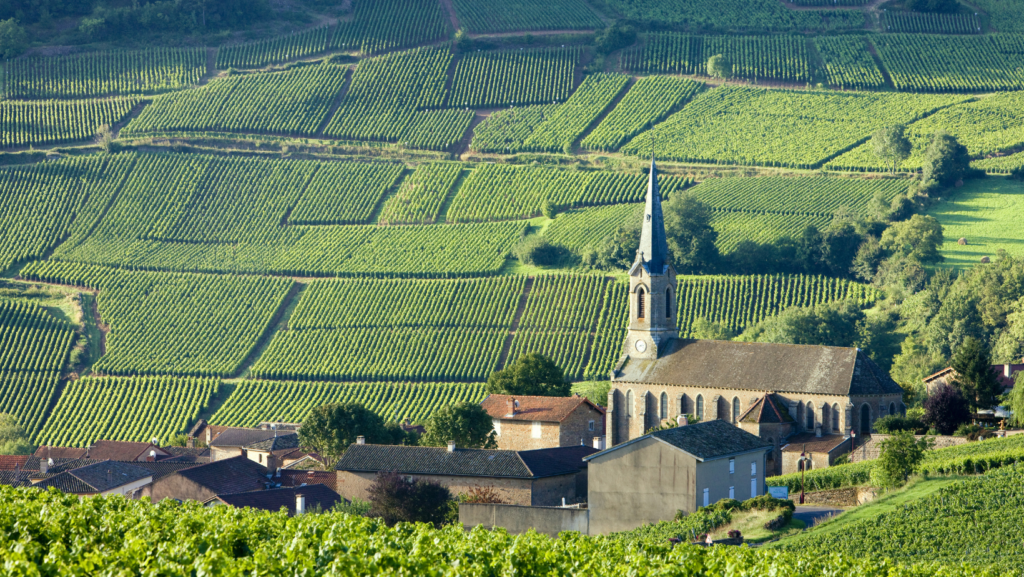 Bourgogne Burgundy wine region france