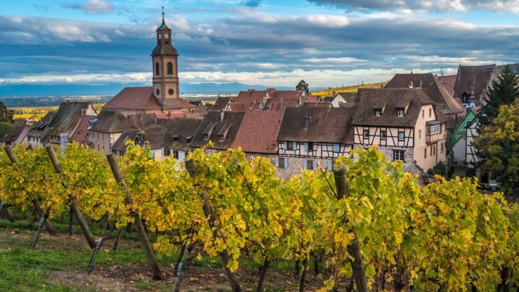 French wine region Alsace