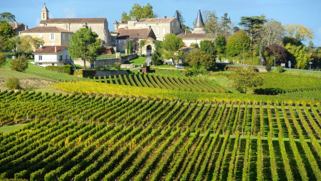 Visit a French Château or Vineyard wine tour
 festivals