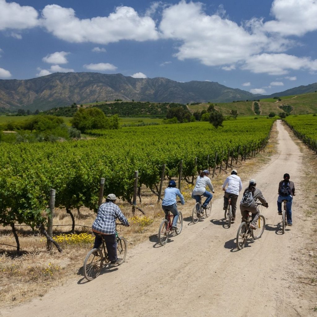 Chilean Wine Vineyards Regions
